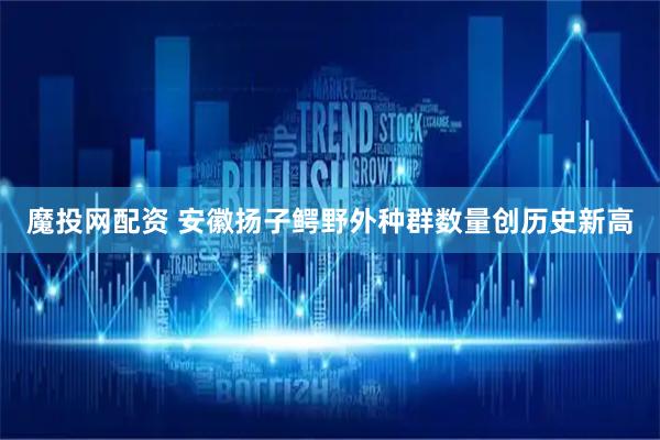 魔投网配资 安徽扬子鳄野外种群数量创历史新高