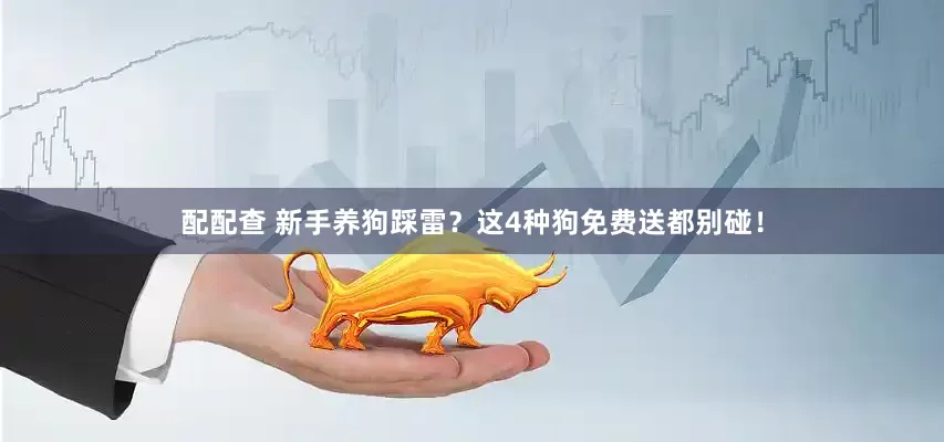 配配查 新手养狗踩雷？这4种狗免费送都别碰！