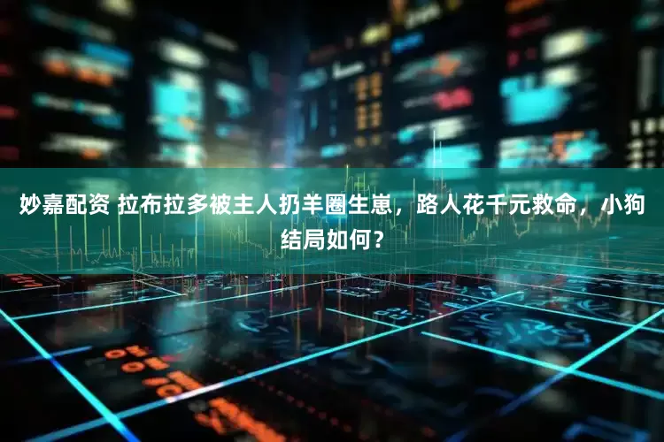 妙嘉配资 拉布拉多被主人扔羊圈生崽，路人花千元救命，小狗结局如何？