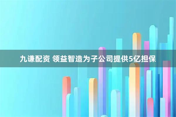 九谦配资 领益智造为子公司提供5亿担保
