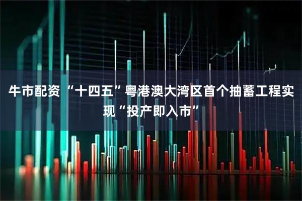 牛市配资 “十四五”粤港澳大湾区首个抽蓄工程实现“投产即入市”