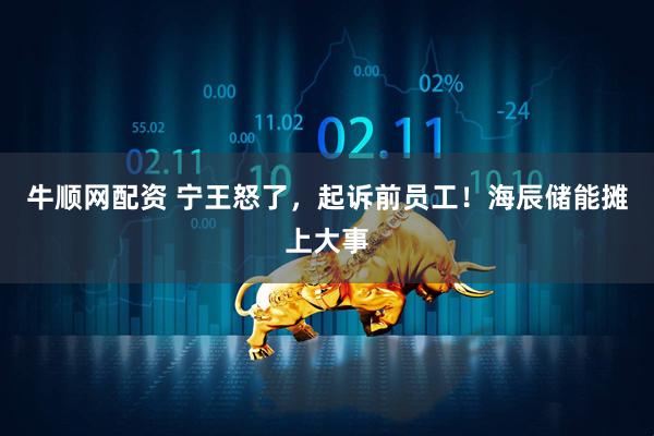牛顺网配资 宁王怒了,起诉前员工!海辰储能摊上大事
